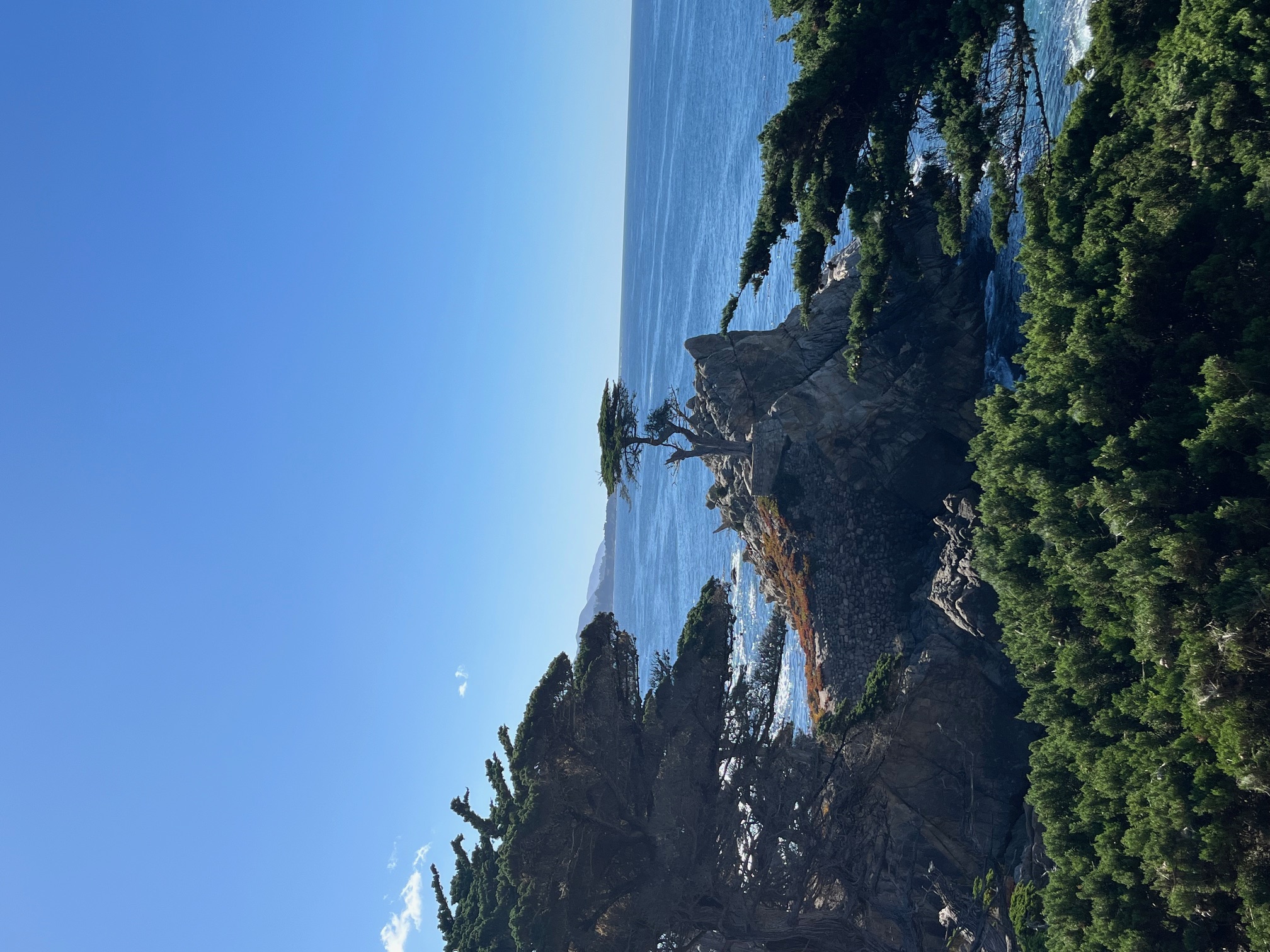 The Lone Cypress and Pacific coastline near Carmel-by-the-Sea under a clear blue sky