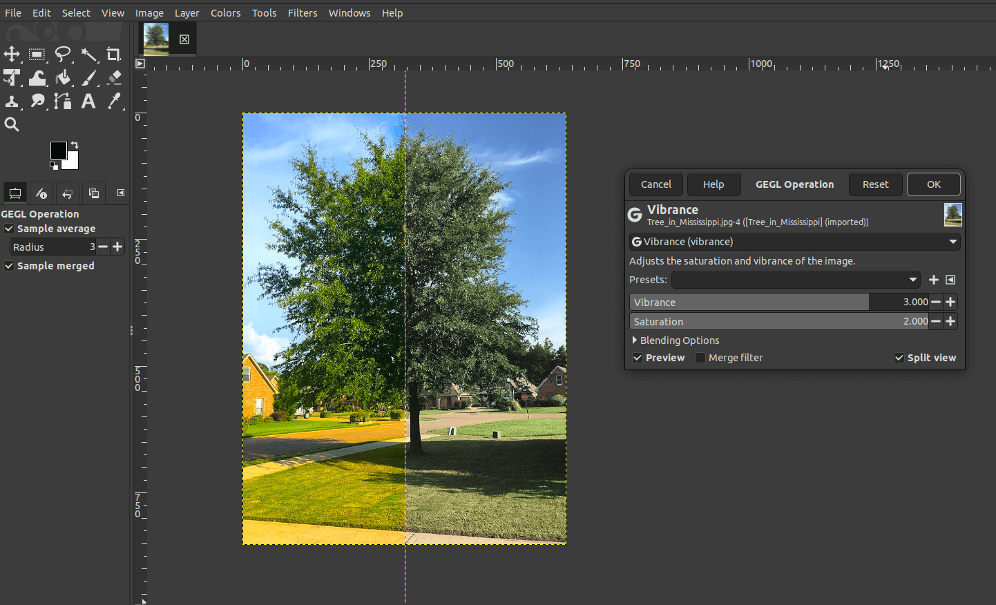 GIMP 3.2 screenshot demonstrating the Vibrance color filter
