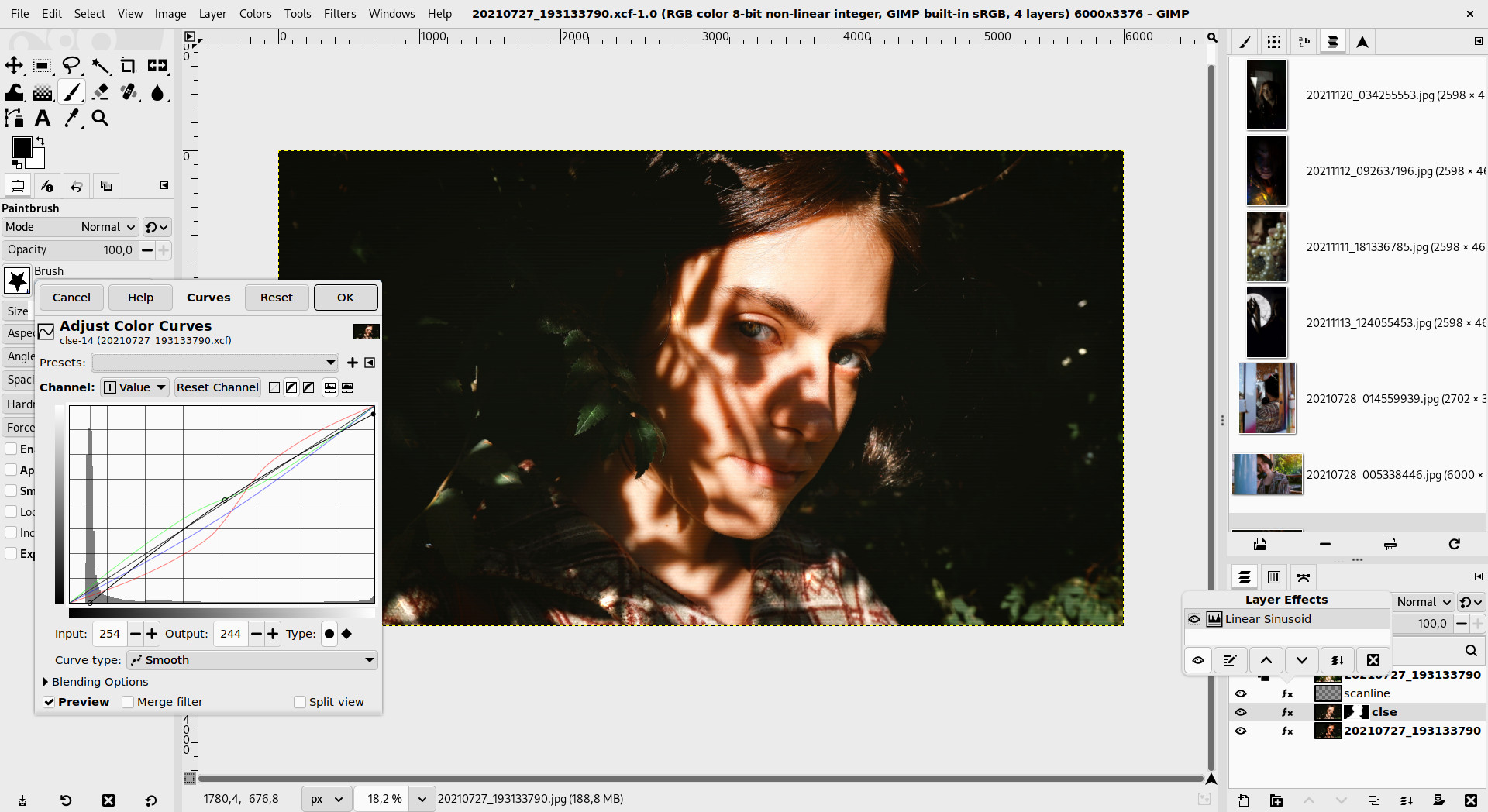 GIMP interface showing a photograph with an editable Curves filter
