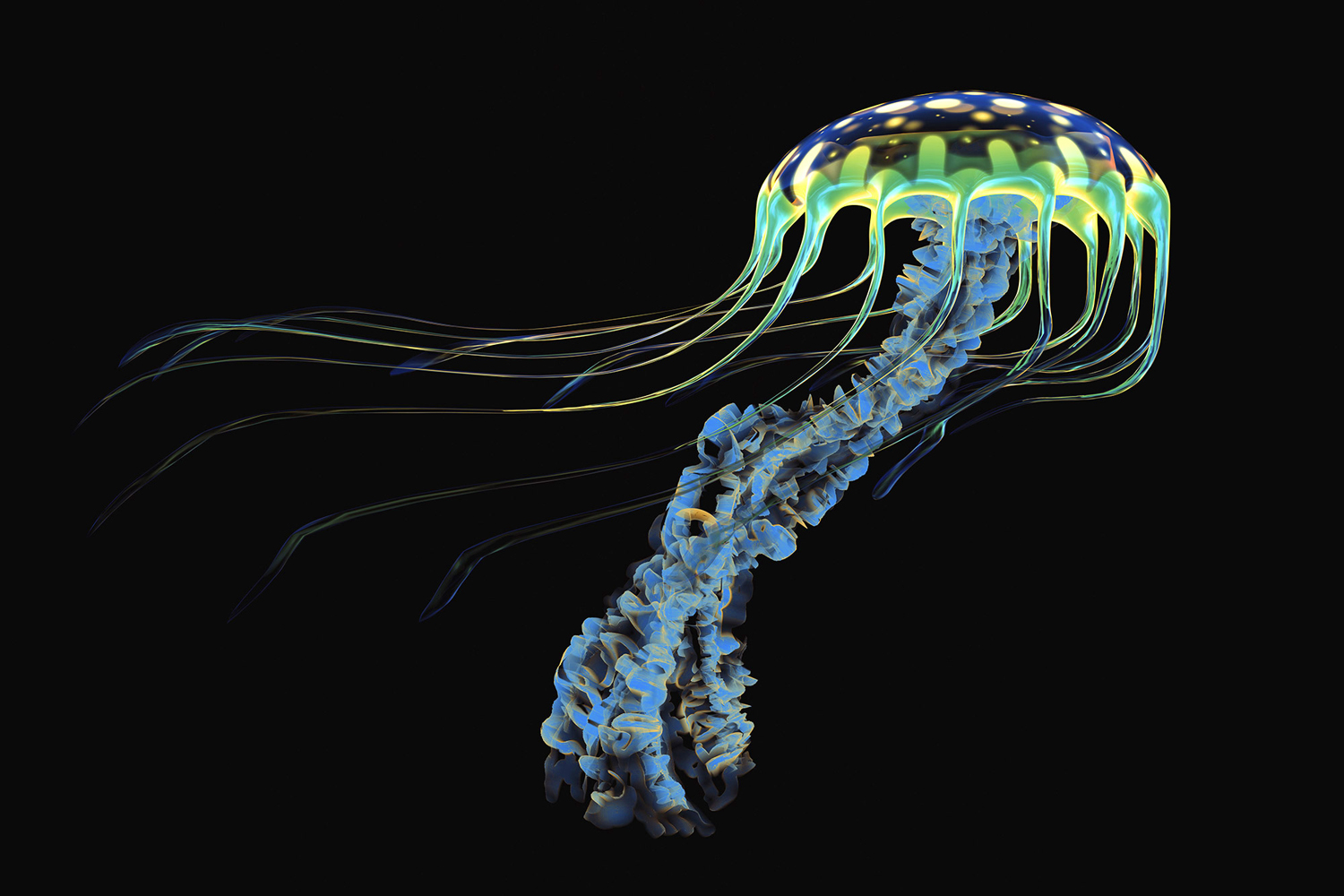 A luminous jellyfish on a black background from Globetouch's commissioned image library