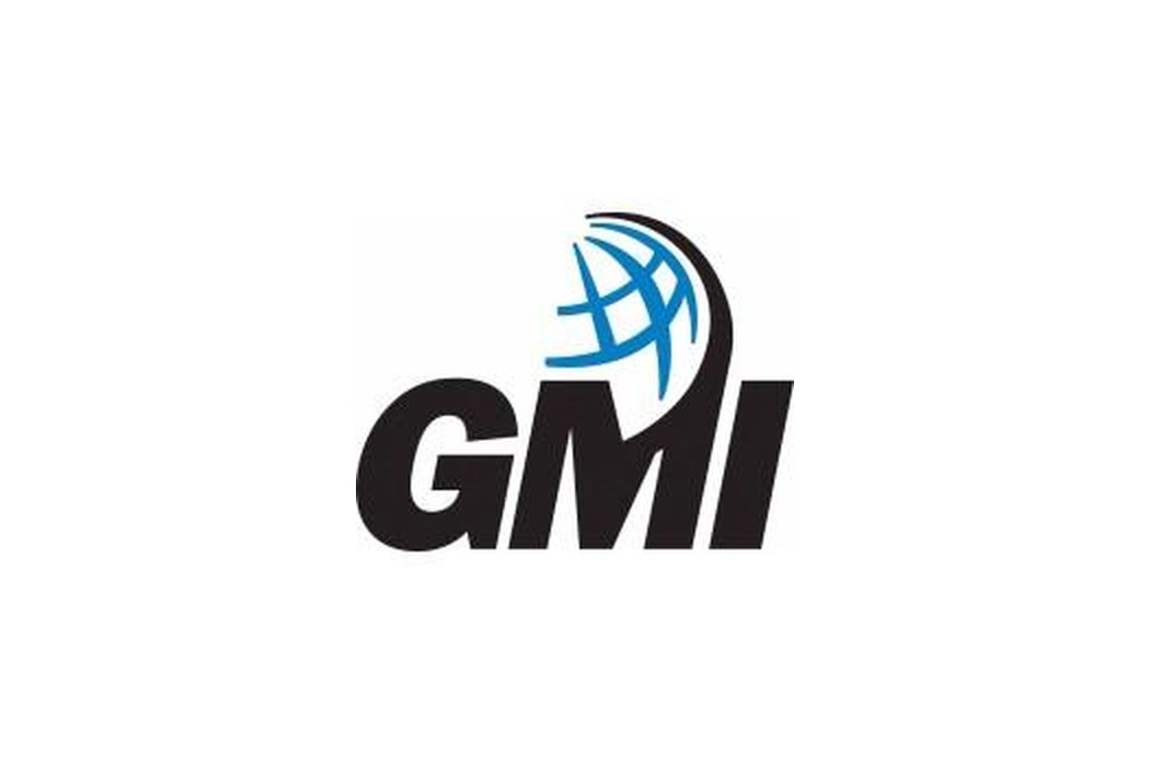 GMI (Global Market Insite, Inc.)