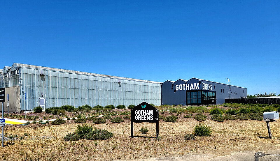 A Gotham Greens hydroponic greenhouse in Davis, California