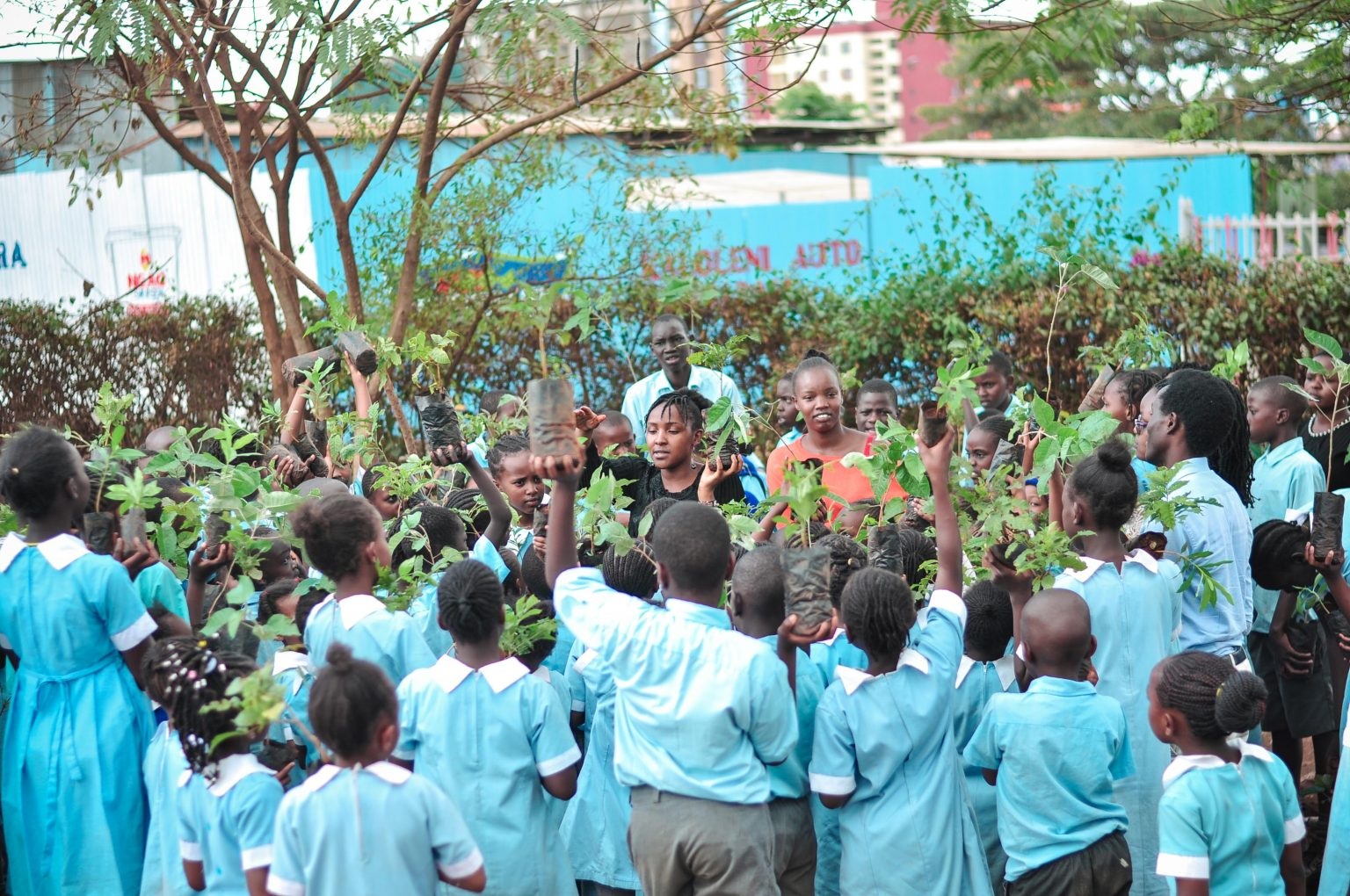 Schoolchildren hold seedlings during a GGI tree-growing activity