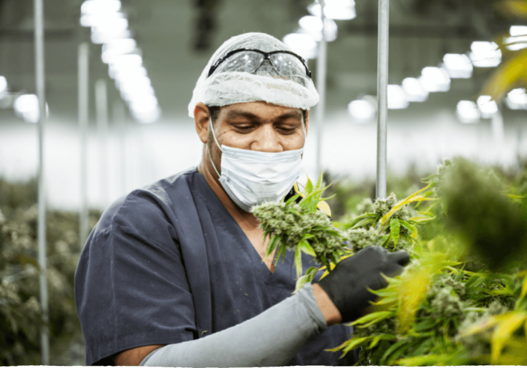 Green Thumb Industries team members in an official company photograph