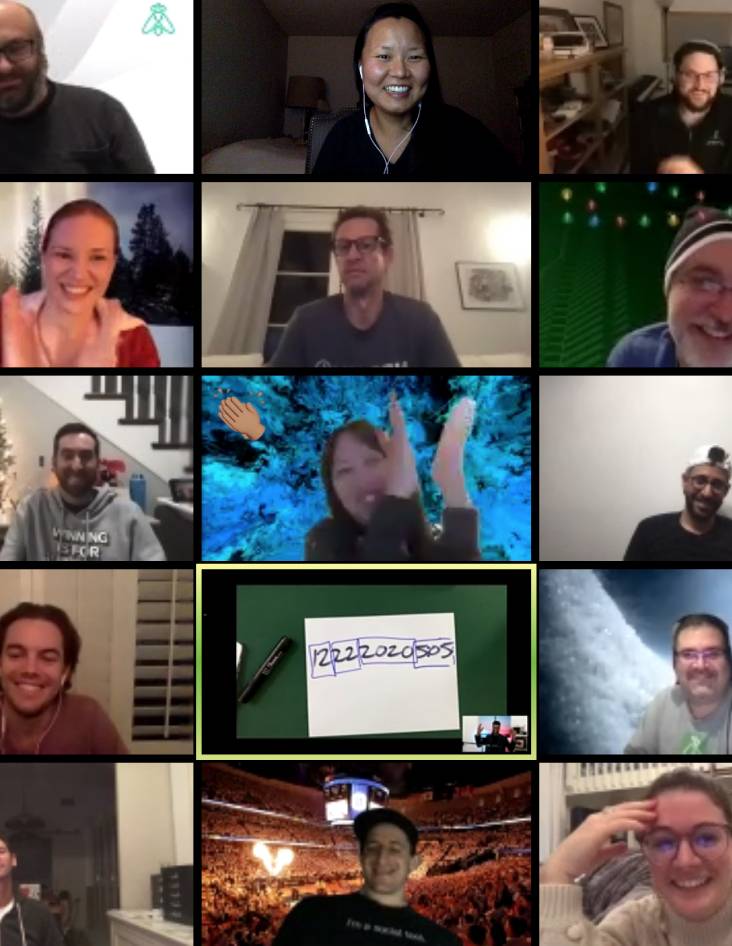 Members of the Greenfly team collaborating remotely