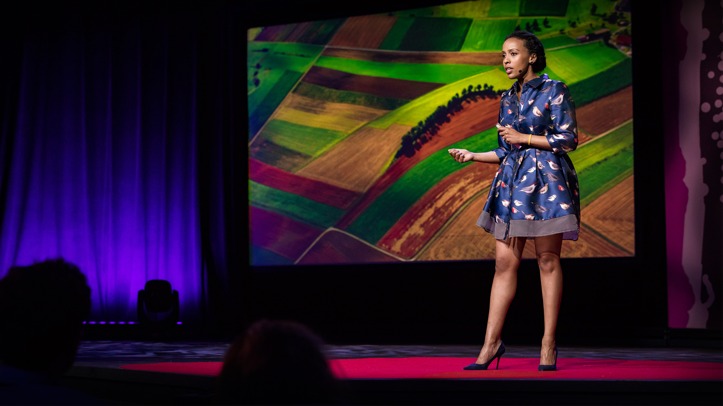 Sara Menker speaking on the TEDGlobal stage in 2017