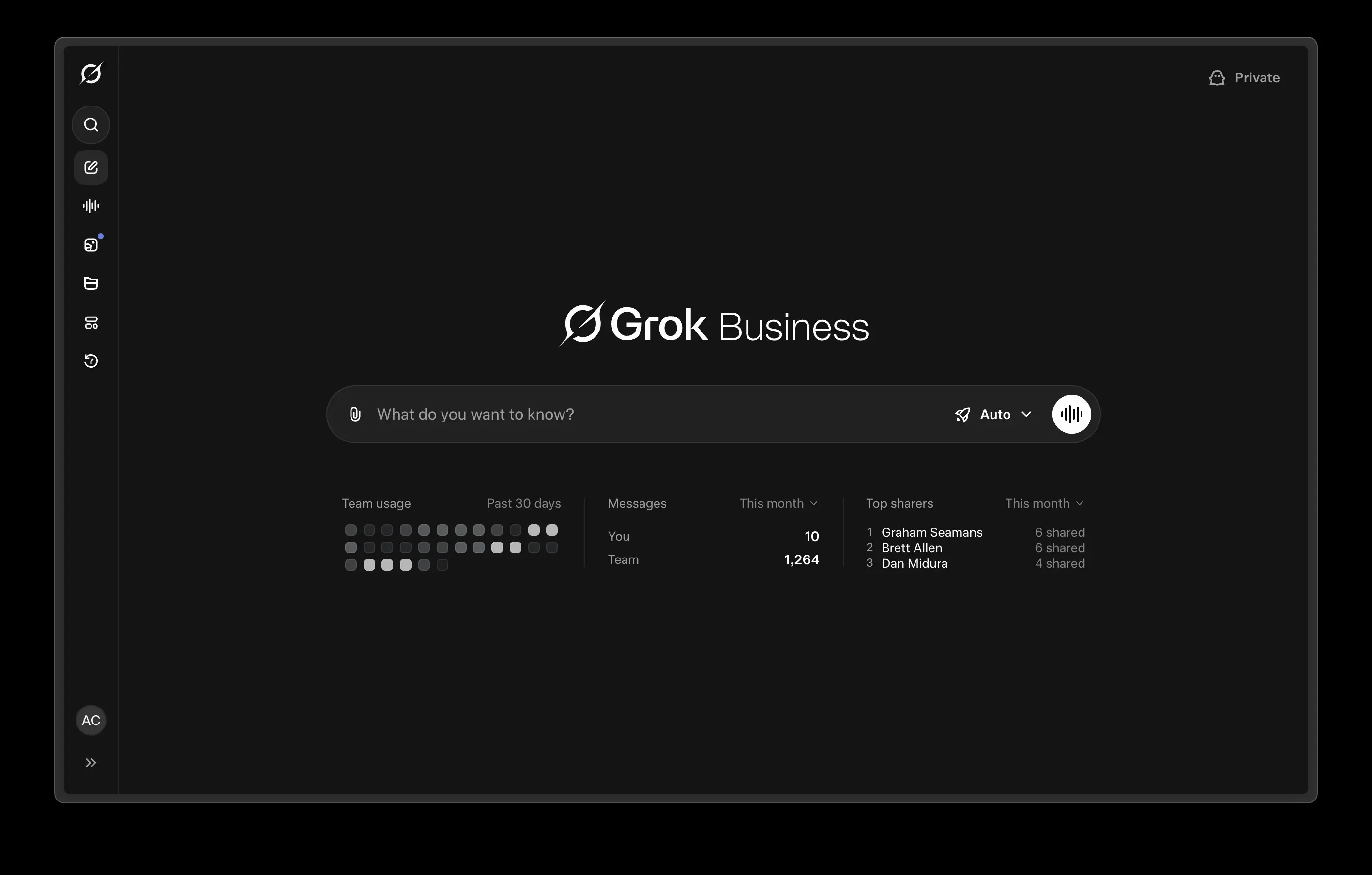 Grok Business interface showing its conversation field, private workspace, and team usage controls