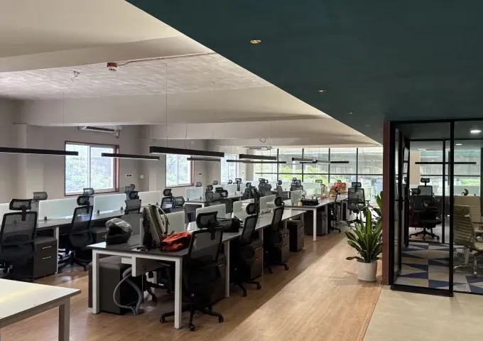 Open-plan Gushwork office with rows of desks and glass meeting rooms