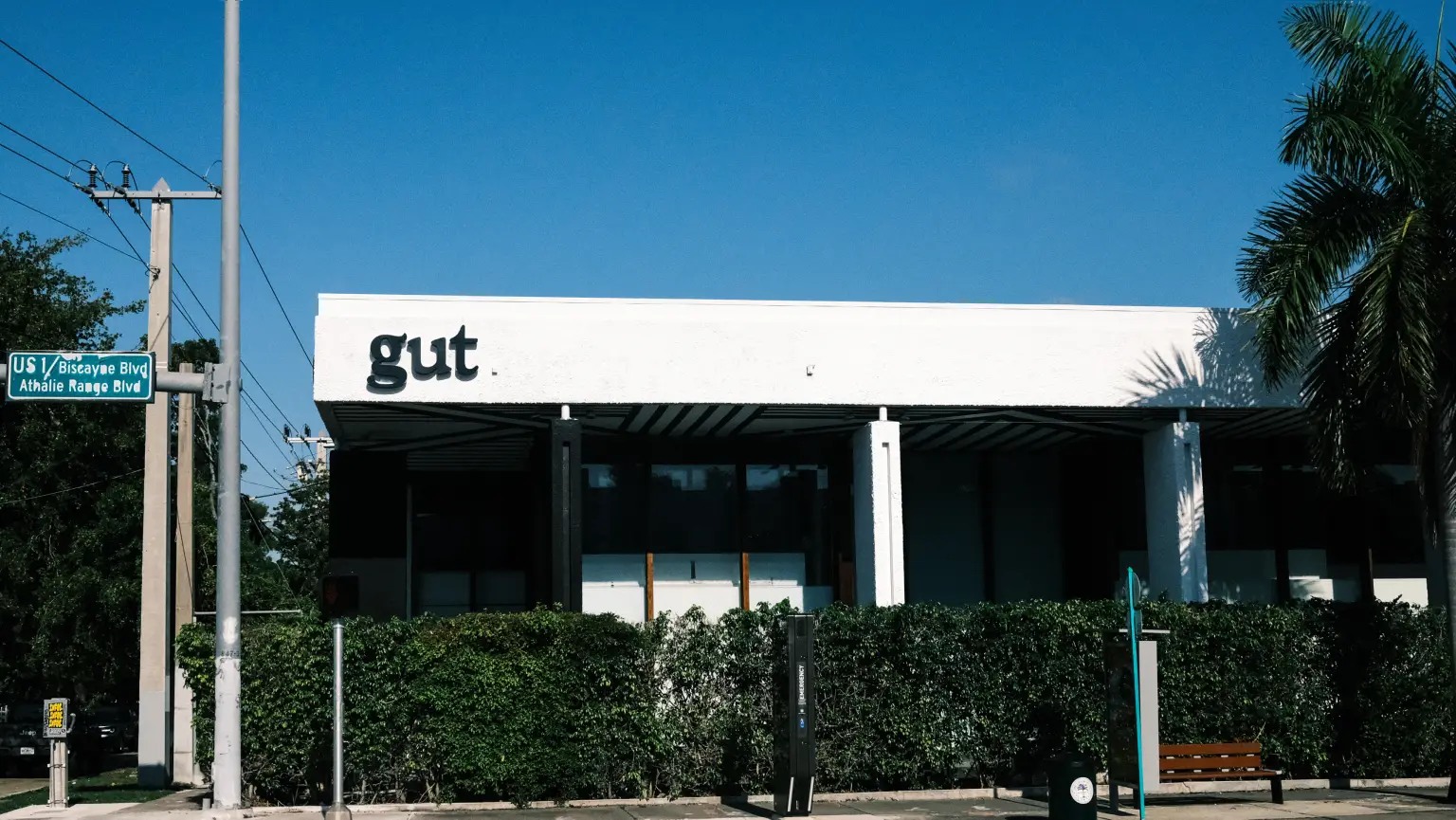 The GUT Miami office on Biscayne Boulevard beneath a bright blue sky