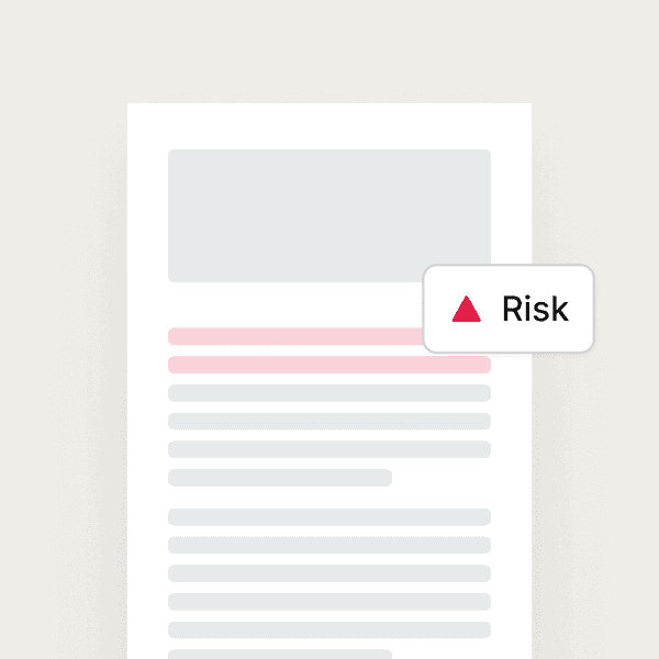 Haast illustration showing a document with a highlighted risk finding
