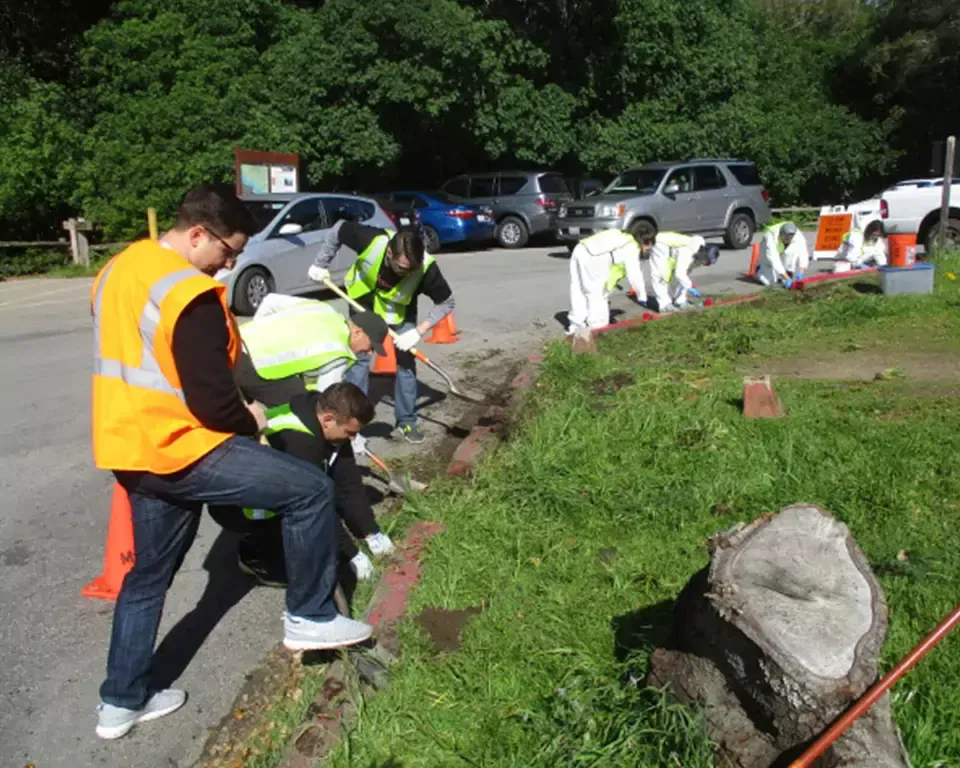 HackerOne employees performing community service along a roadside