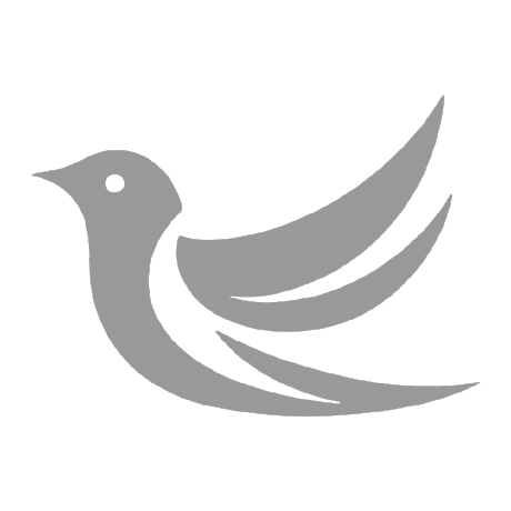 Haize Labs logo