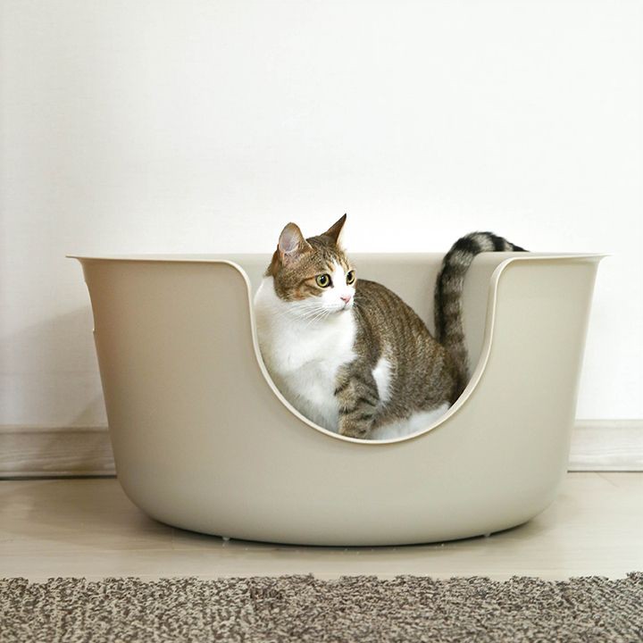 Smart pet product reference project