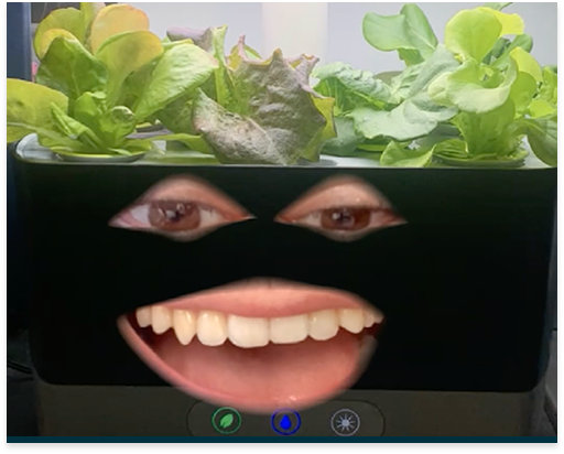 AeroGarden campaign image showing a smiling face on a planter filled with leafy greens