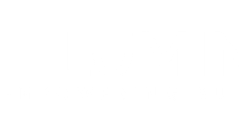 Illumine-i company logo