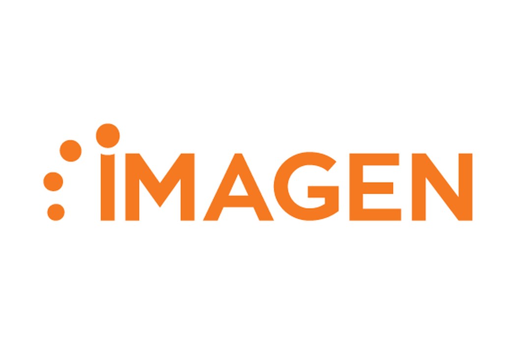 IMAGEN and the business inside the box