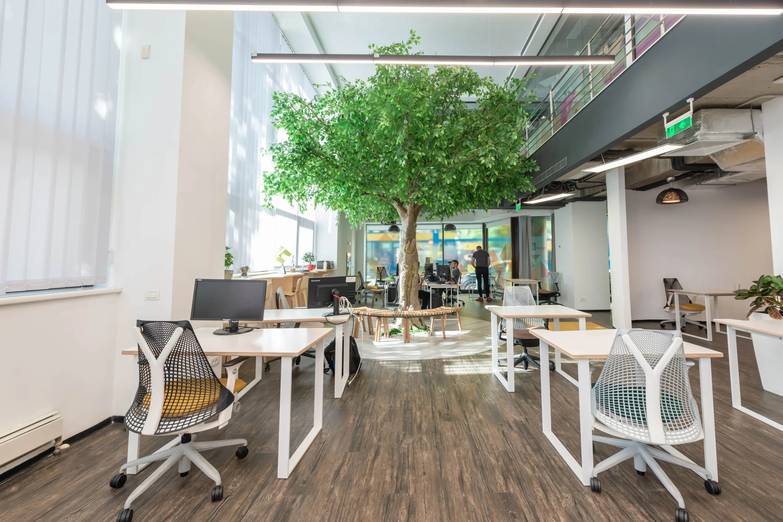 A bright shared workspace featured by Impact Hub Bucharest, with desks arranged around a large indoor tree