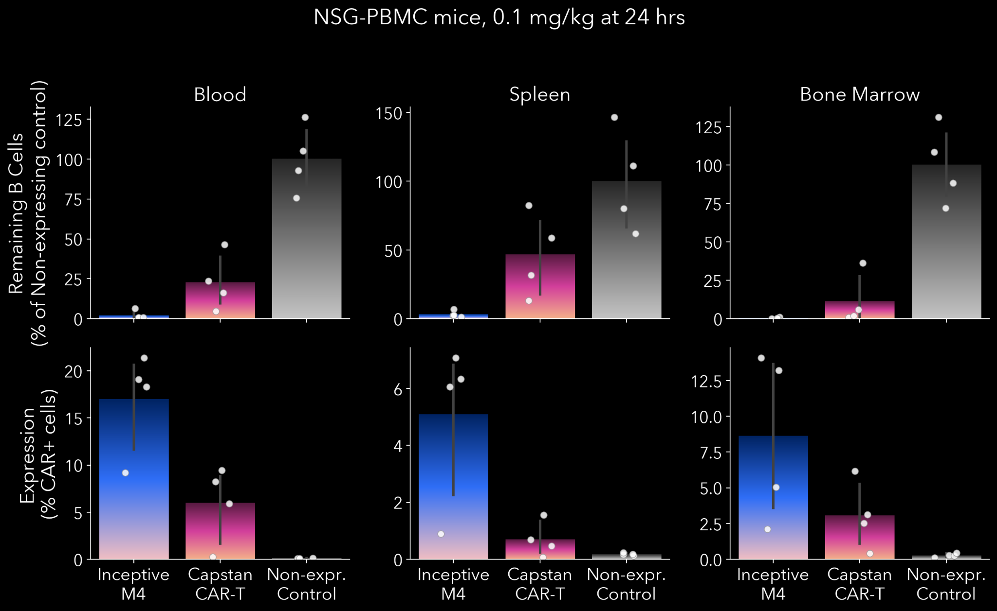 Inceptive's published mouse-study graph comparing B-cell depletion and CAR expression in blood, spleen and bone marrow
