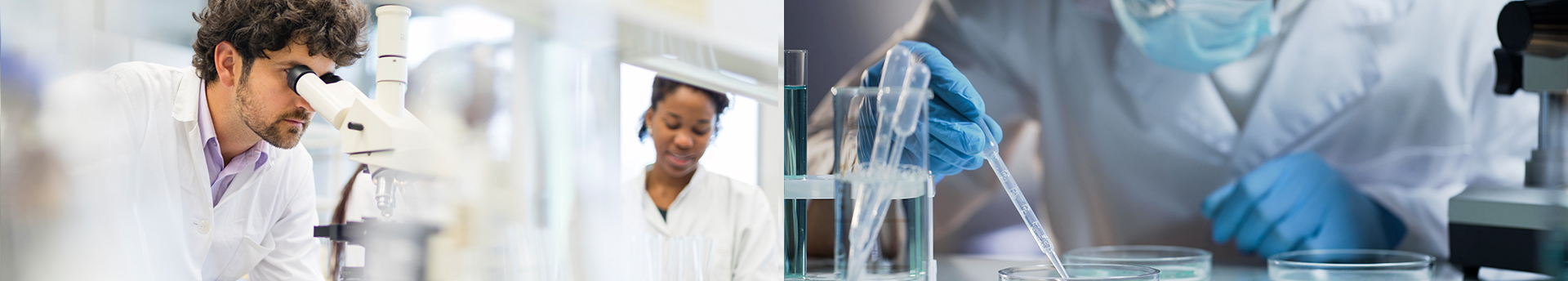 Scientists using a microscope and laboratory pipettes