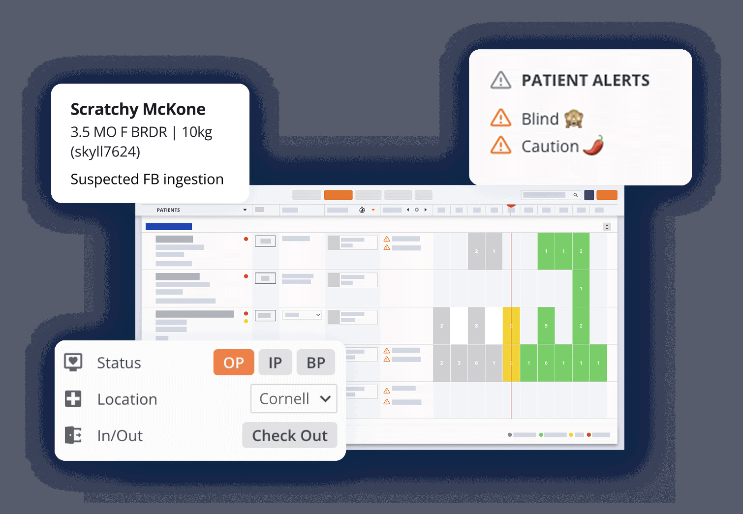Instinct EMR patient dashboard showing treatment and patient-care information