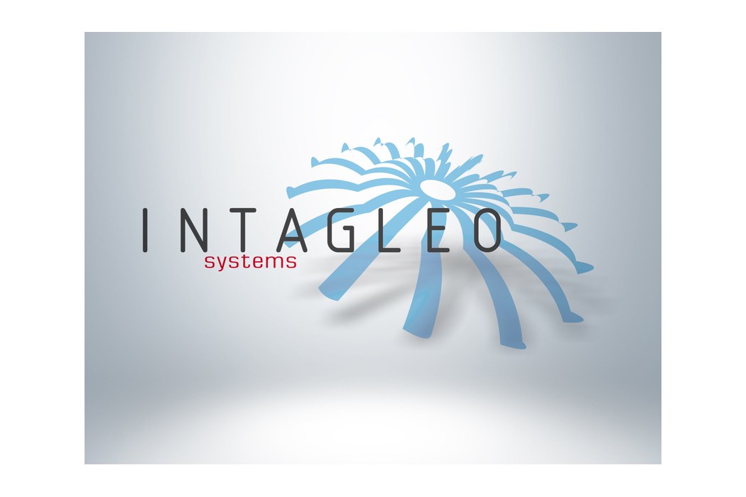 Intagleo Systems and the business of making software behave