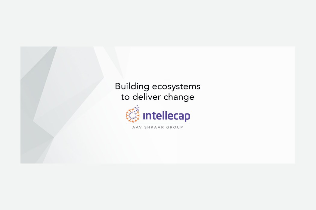 Intellecap works on what money alone cannot fix