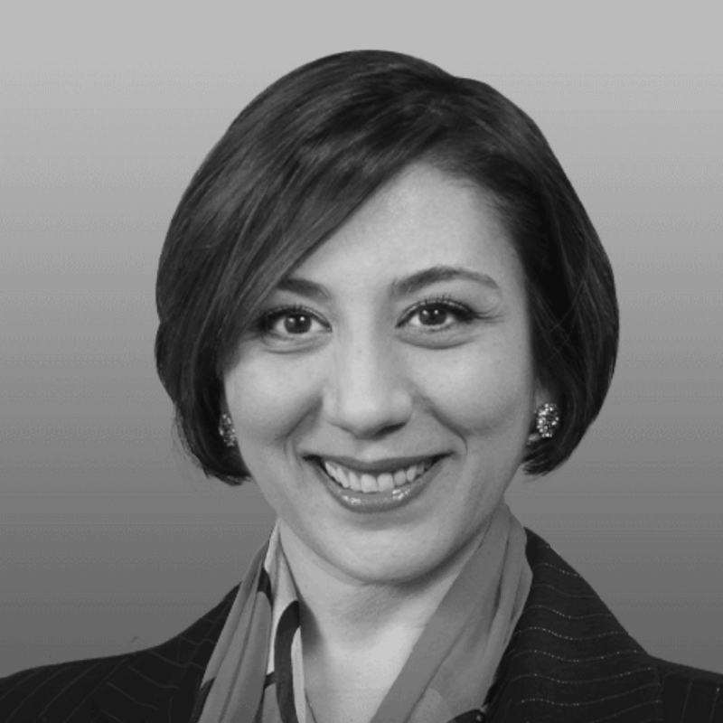 Irina Erenburg, Founder and CEO of AVAVA
