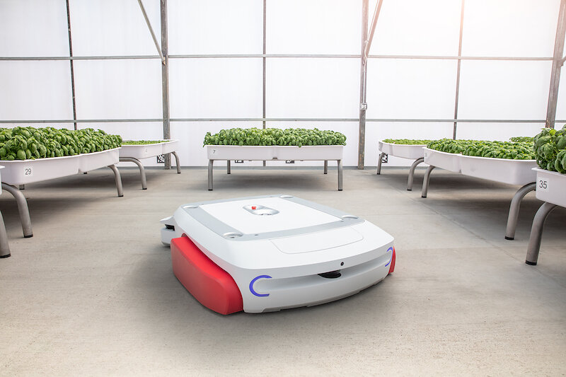 Iron Ox's Grover mobile robot among hydroponic basil beds in a greenhouse
