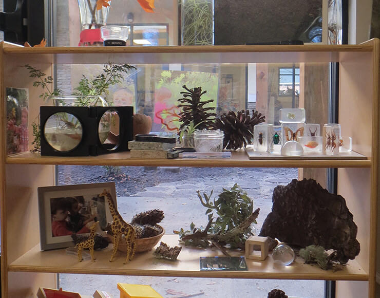 Natural materials and discovery objects displayed in an Ivybrook Academy classroom
