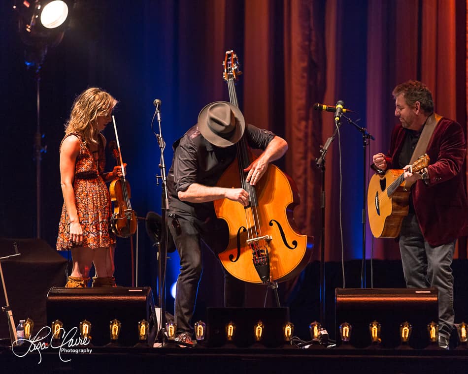 JD and the Straight Shot performing with violin, upright bass, and James Dolan on guitar at right