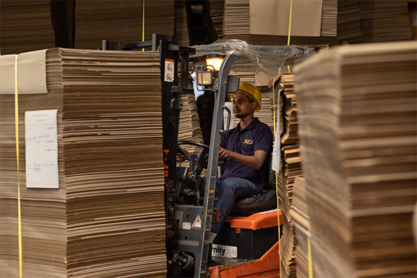 JF and I corrugated packaging products arranged in a studio setting