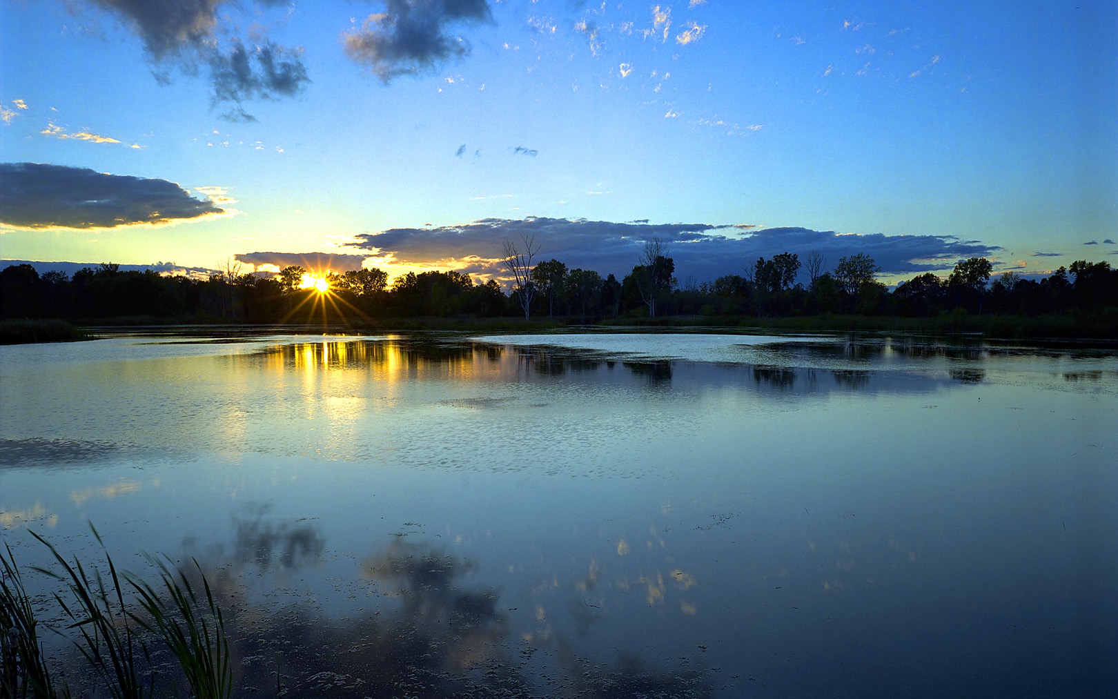 Low sunlight reflected across water and wetland vegetation at Crosswinds Marsh