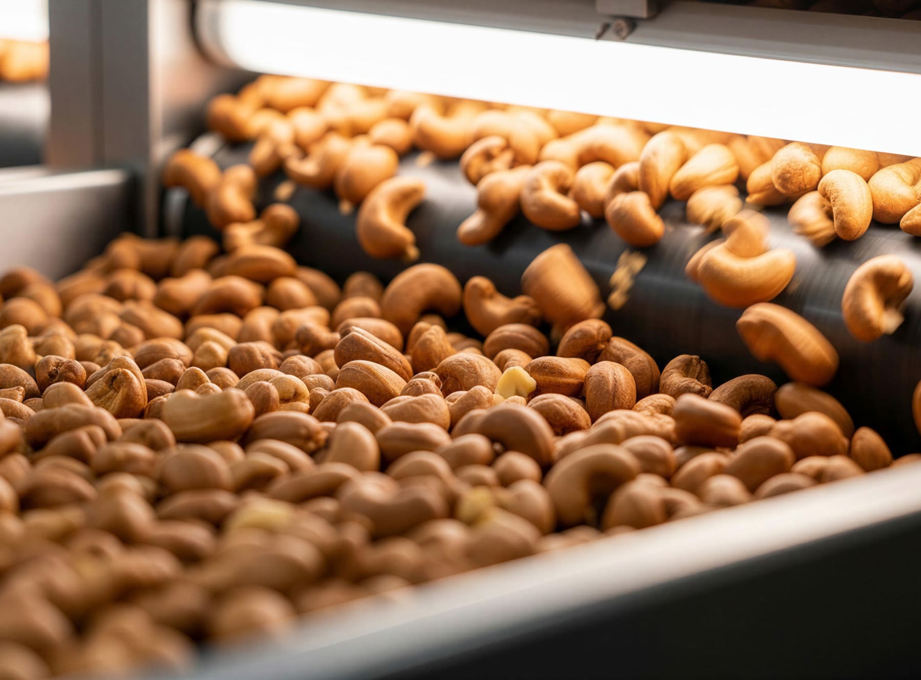 Cashews moving through a Johnvince processing line