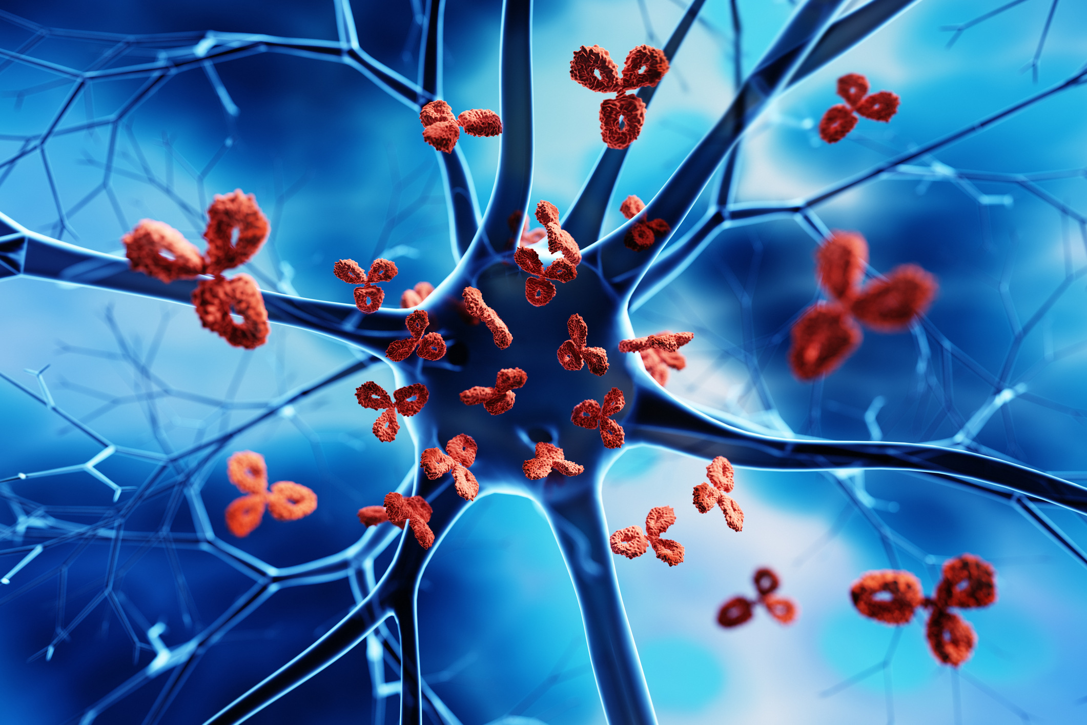 Illustration of antibody molecules from an official JOINN Biologics article