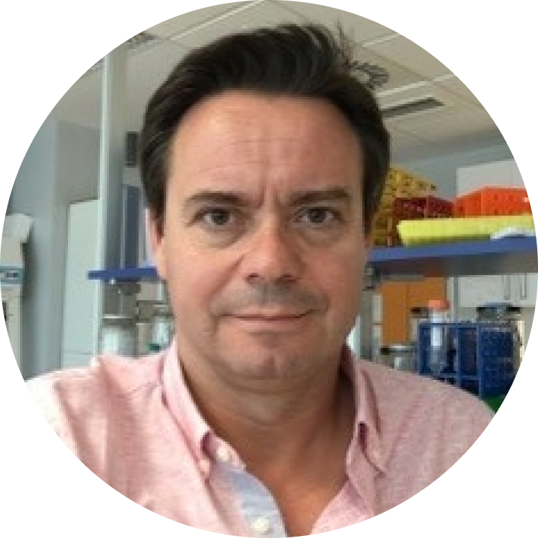 José Luis Mullor Built a Business Around the Question Beauty Brands Cannot Dodge: Does It Work?