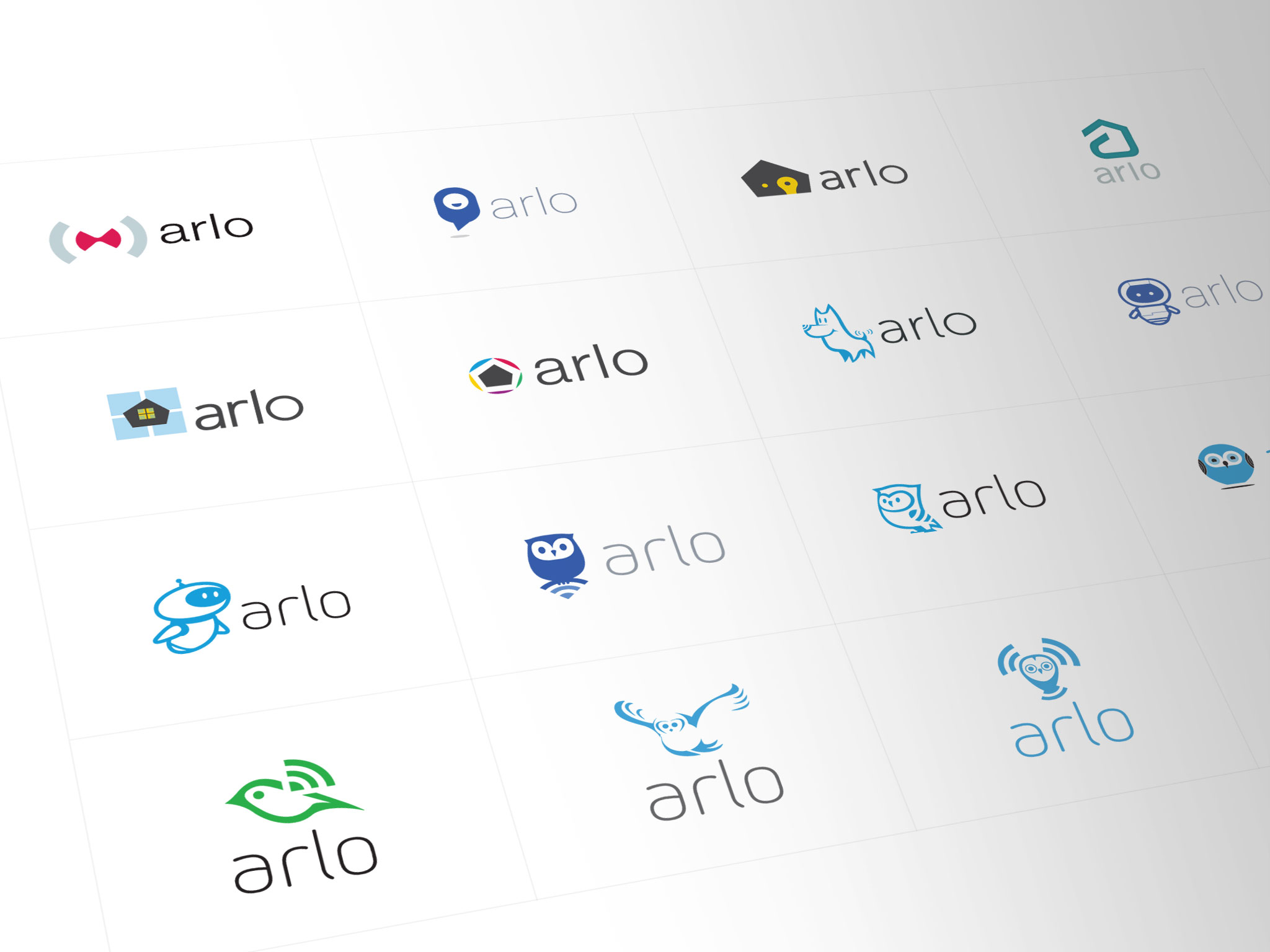 Busse Design’s Arlo hummingbird identity explorations