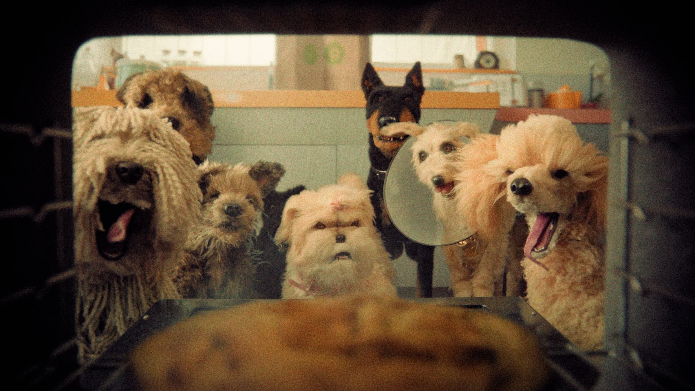 Campaign image from FIG’s Publix Best Friends film