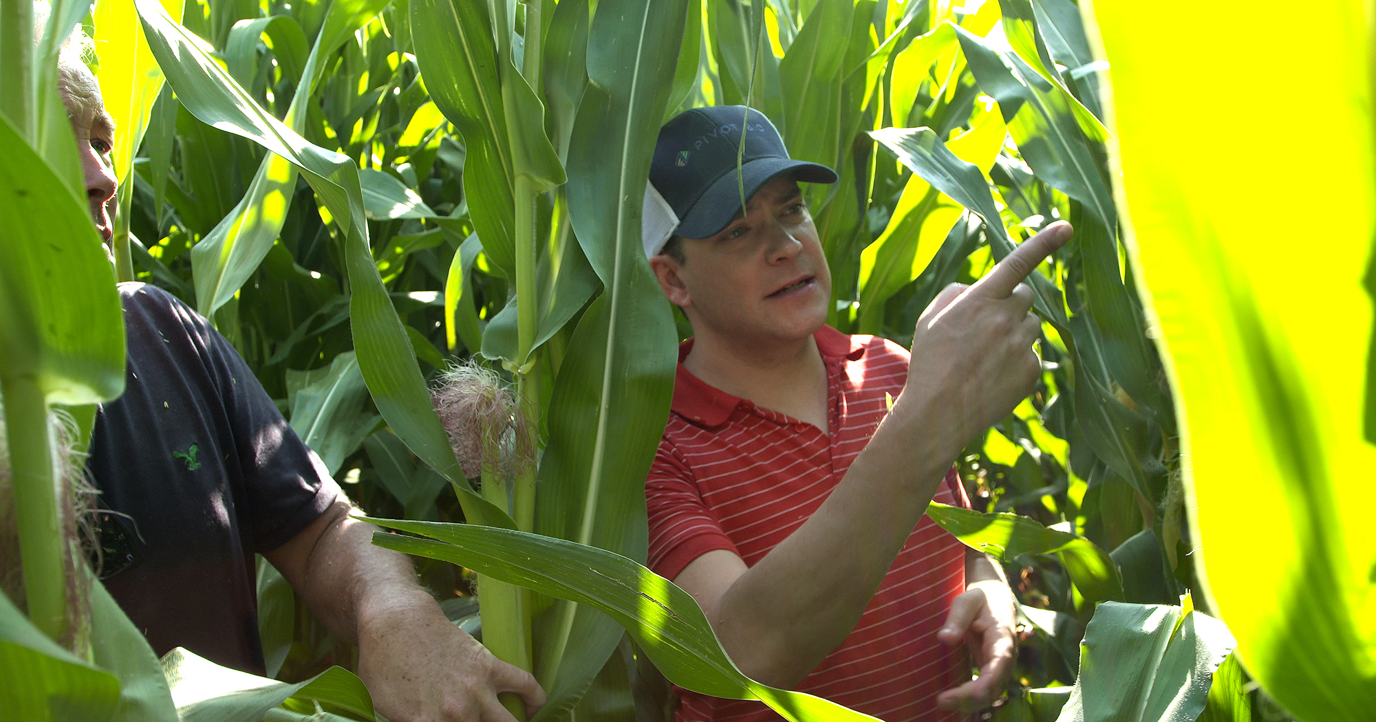 Karsten Temme standing among rows of corn