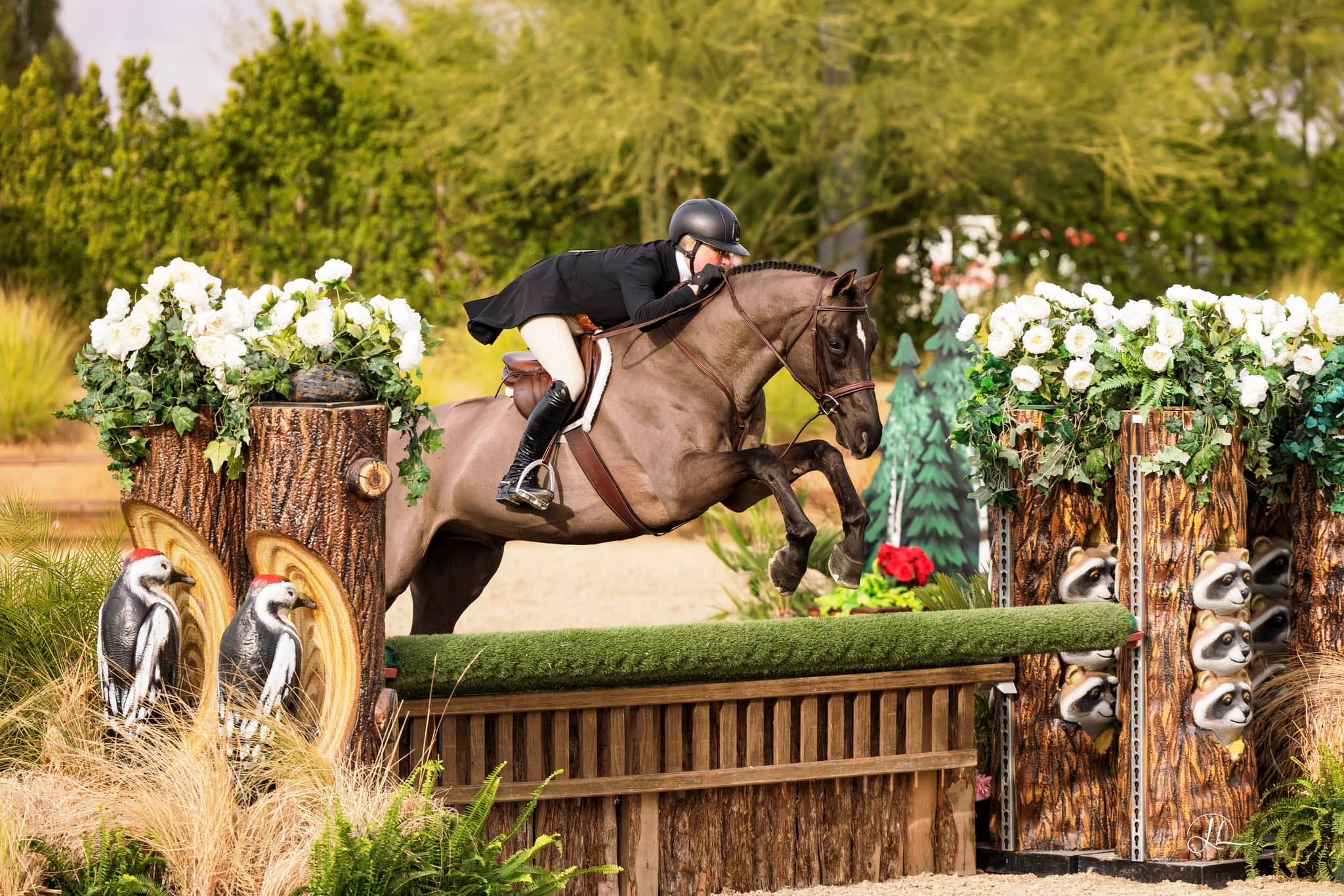 Kassy Perry riding Dream Boy M over a decorated hunter fence