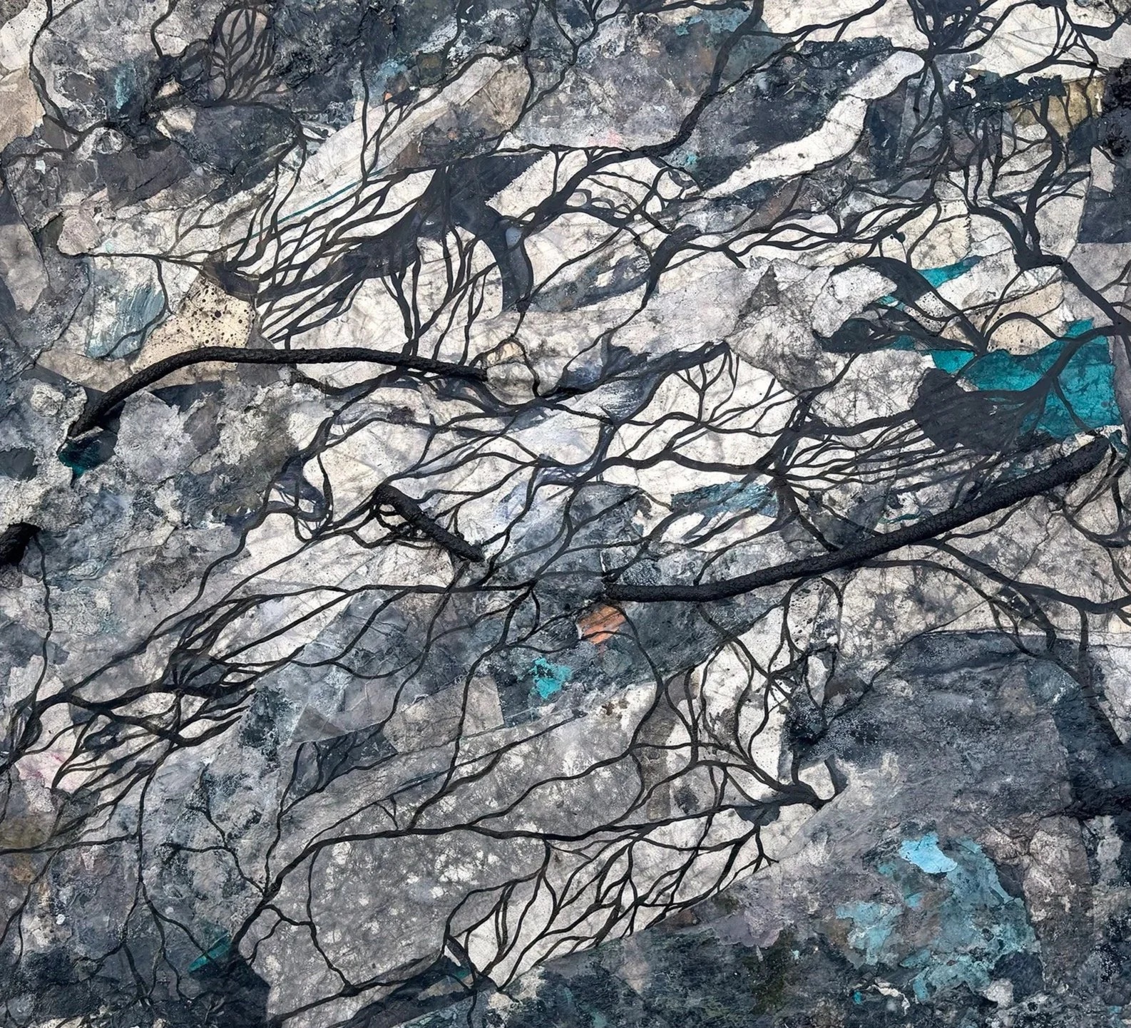 Burn Scar No. 2, an abstract mixed-media work by Katherine Filice incorporating branches and bark