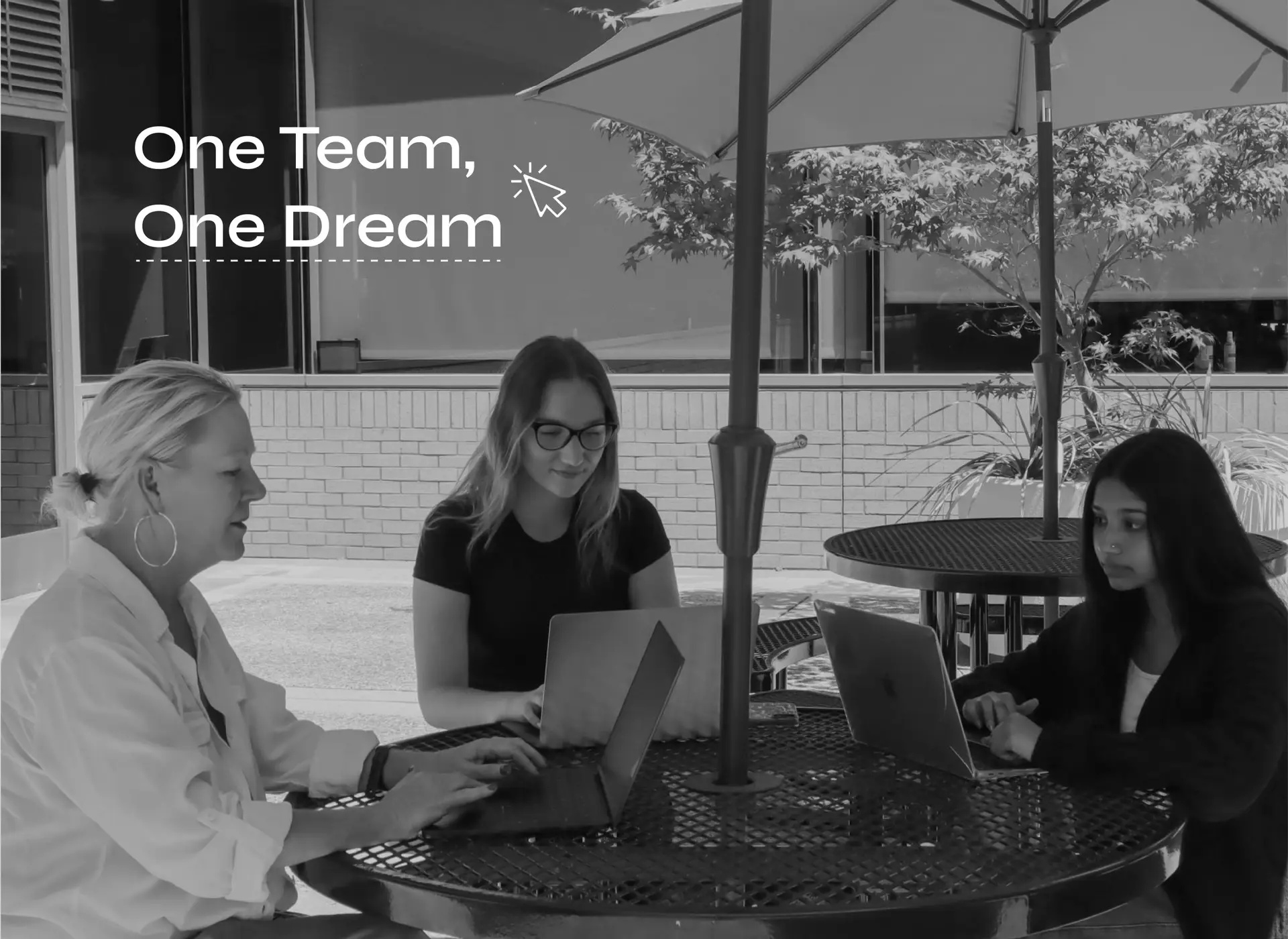 BOCA colleagues working together at laptops around an outdoor table