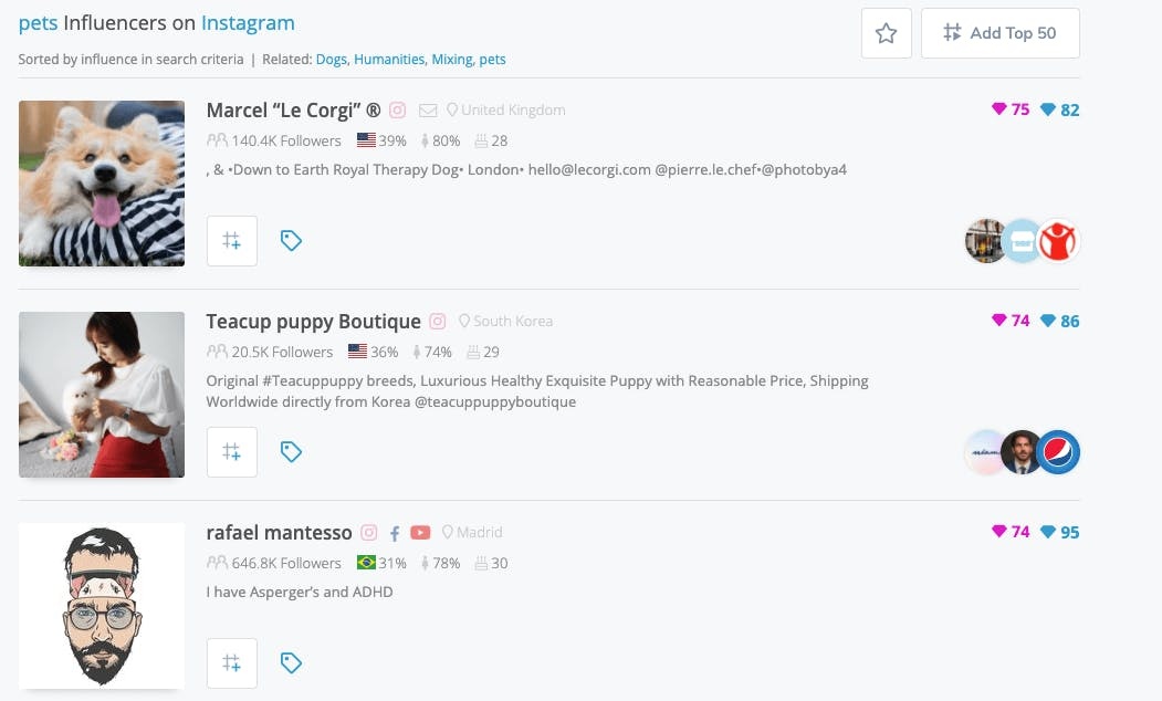 Klear’s influencer discovery interface displaying pet-related Instagram creator profiles
