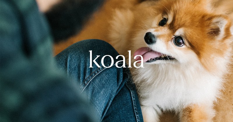 Koala Health