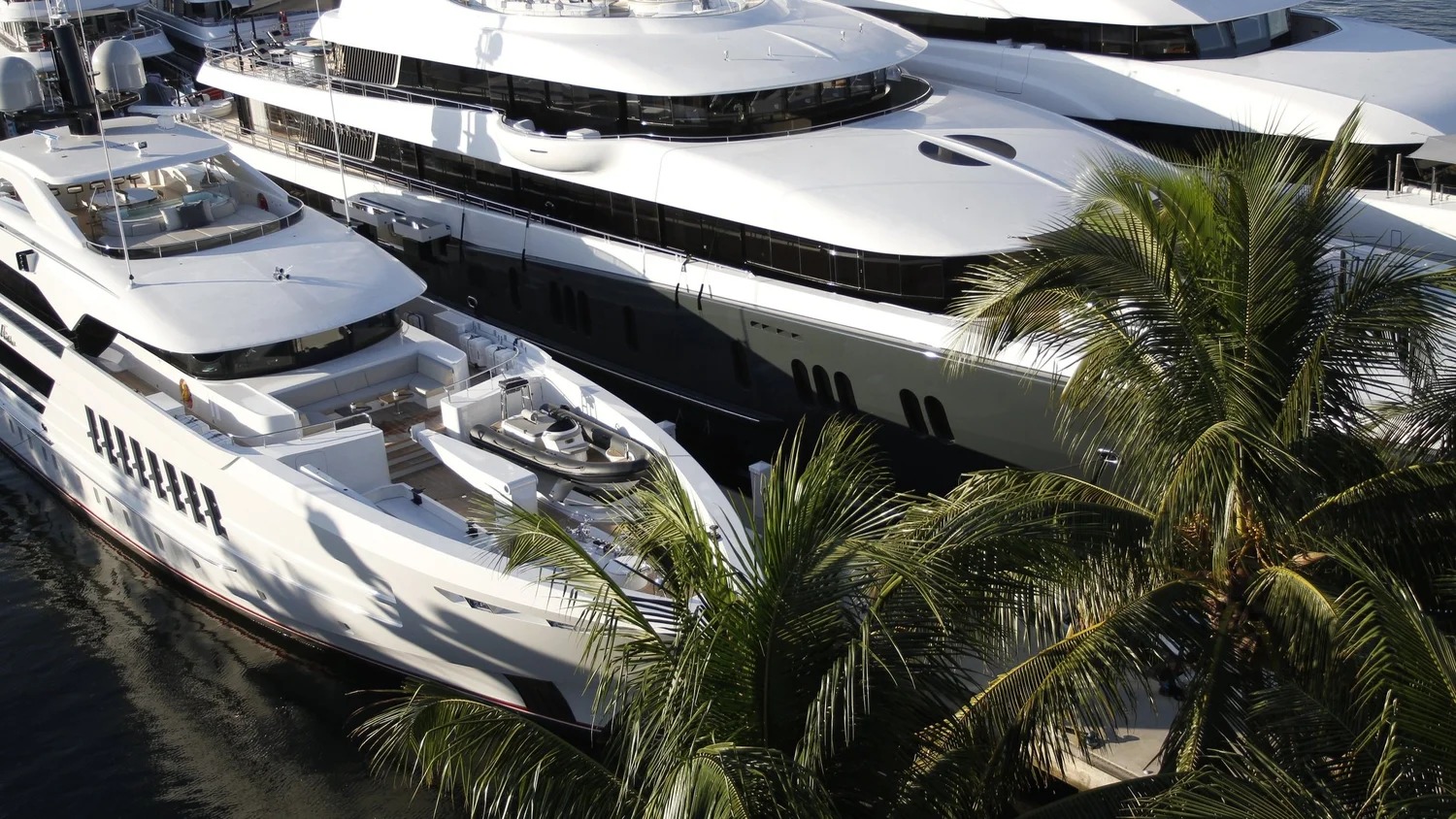 Large white yachts gathered at a South Florida marina
