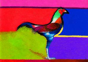 A brightly colored bird artwork by Kurt Haiman against bands of pink, red, blue, green and purple