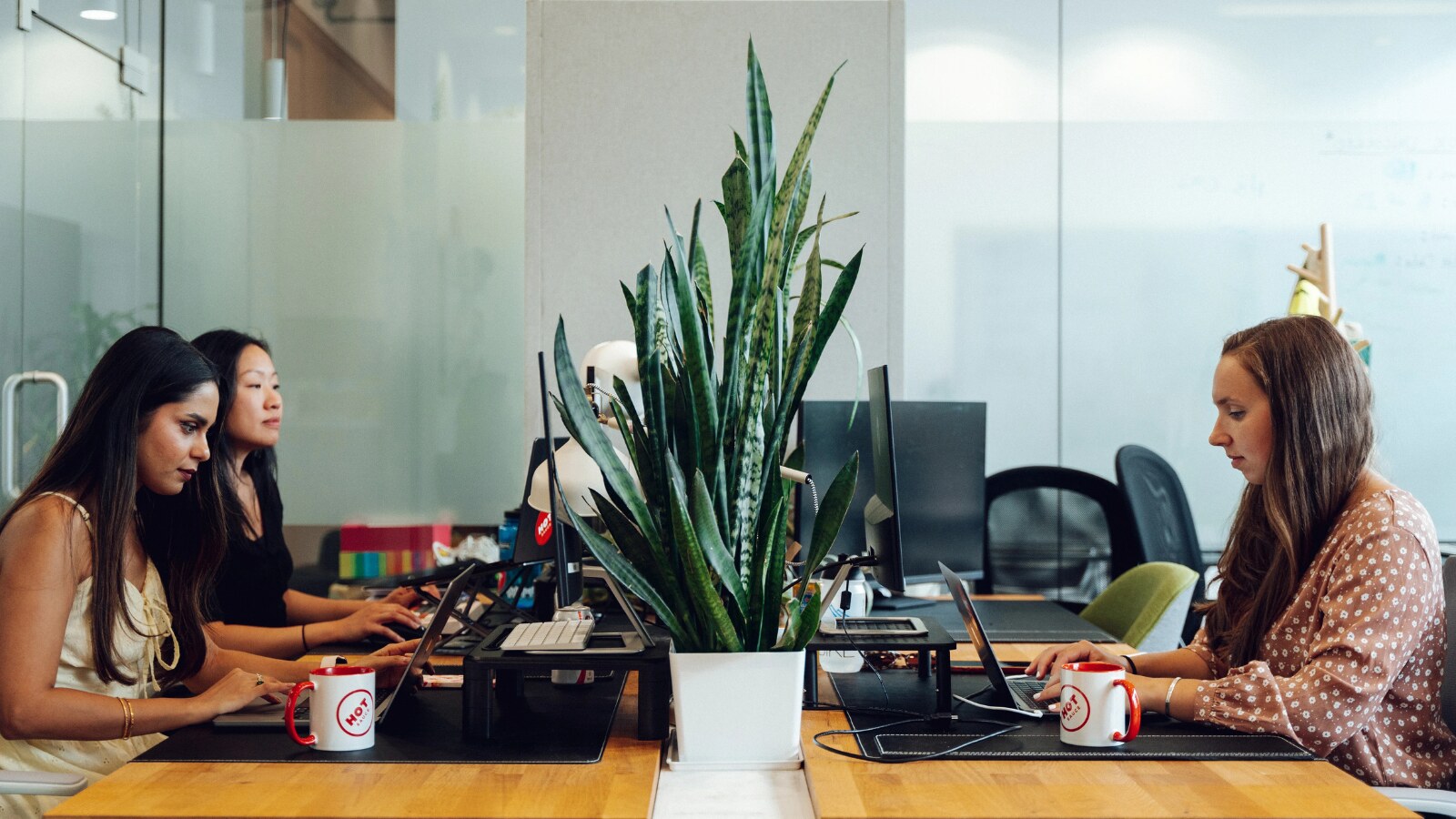 Members of the Digital Hot Sauce team working together in a Vancouver office