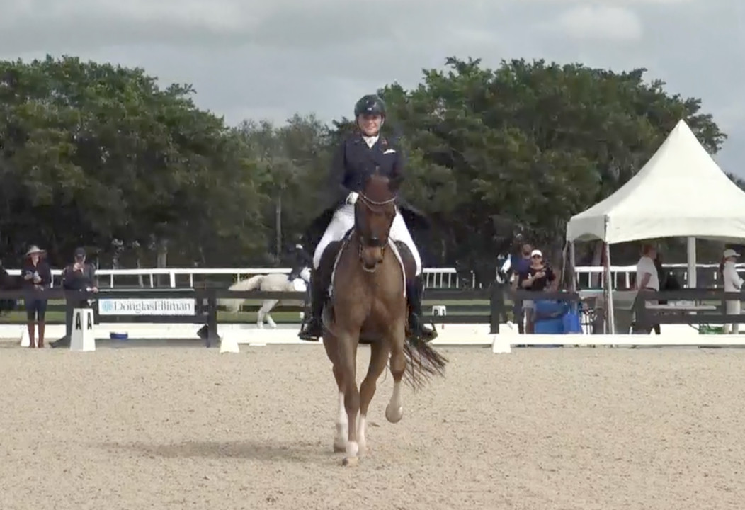 Kylee McVaney riding Quartet in a dressage arena