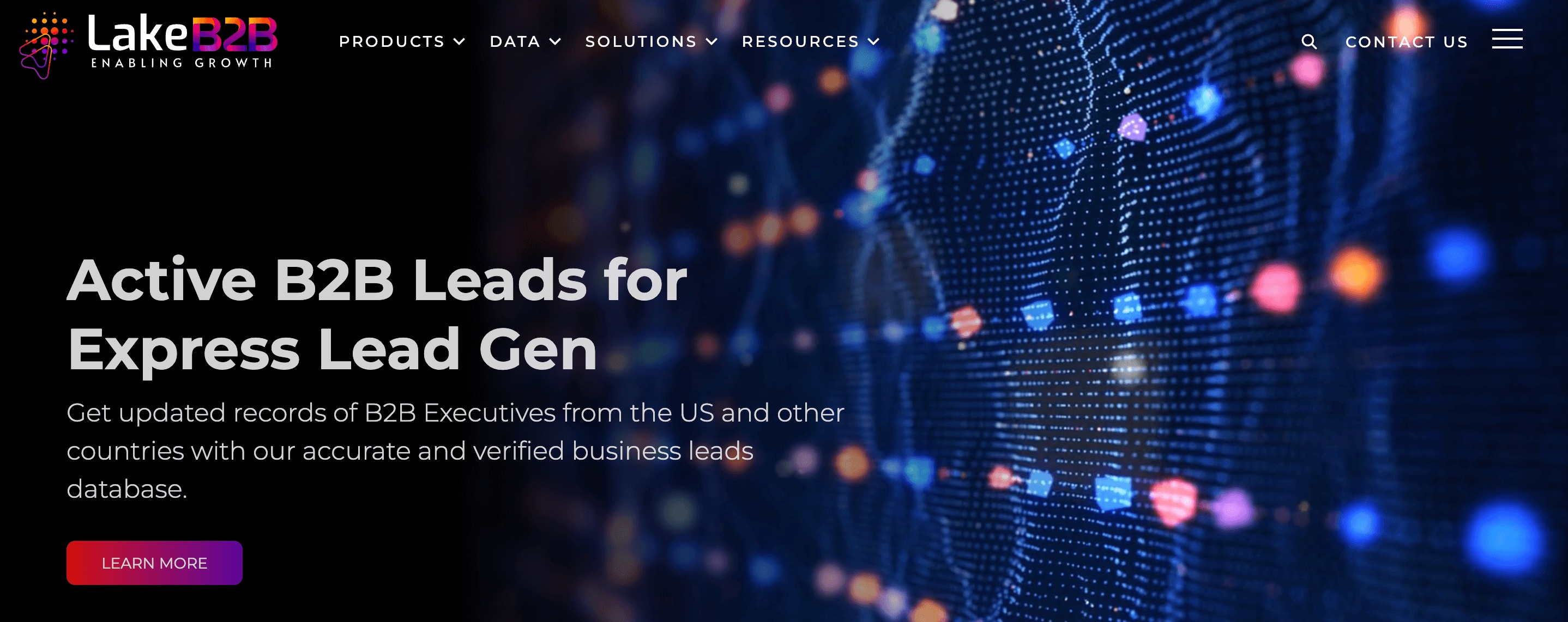 LakeB2B website screenshot advertising its active B2B leads offering