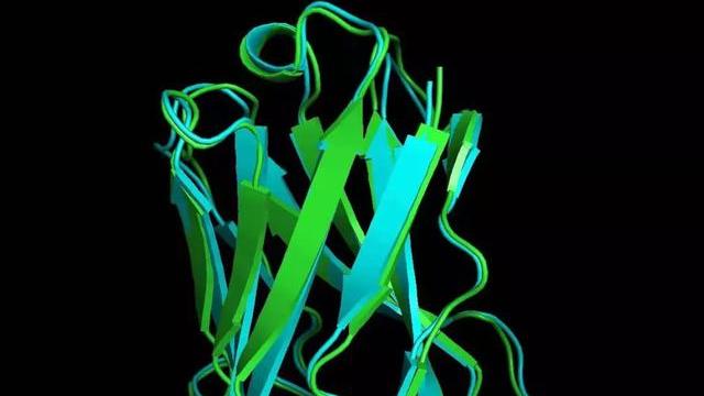 Green and blue ribbon rendering of a protein structure, published with Larry Wang’s 2021 interview