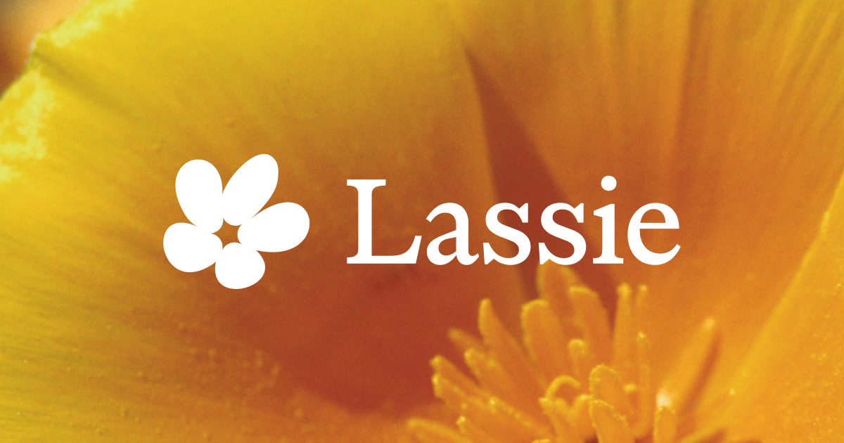 Lassie logo - a white flower mark and wordmark on a yellow poppy background